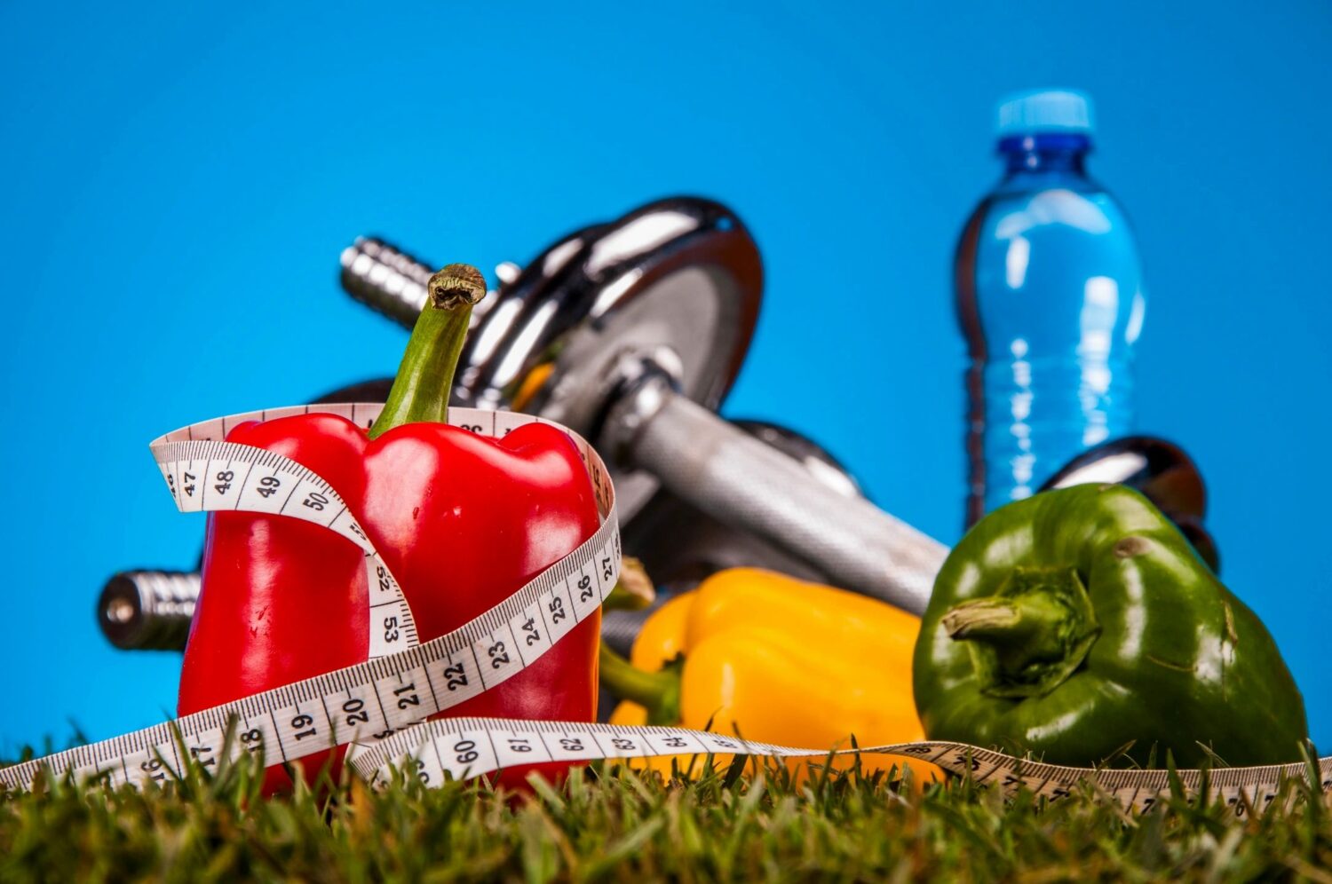 Nutrition and Fitness…How do you achieve and maintain it?